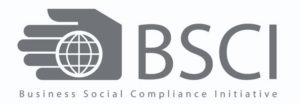 bsci_logo-712x250-1-300x105-1